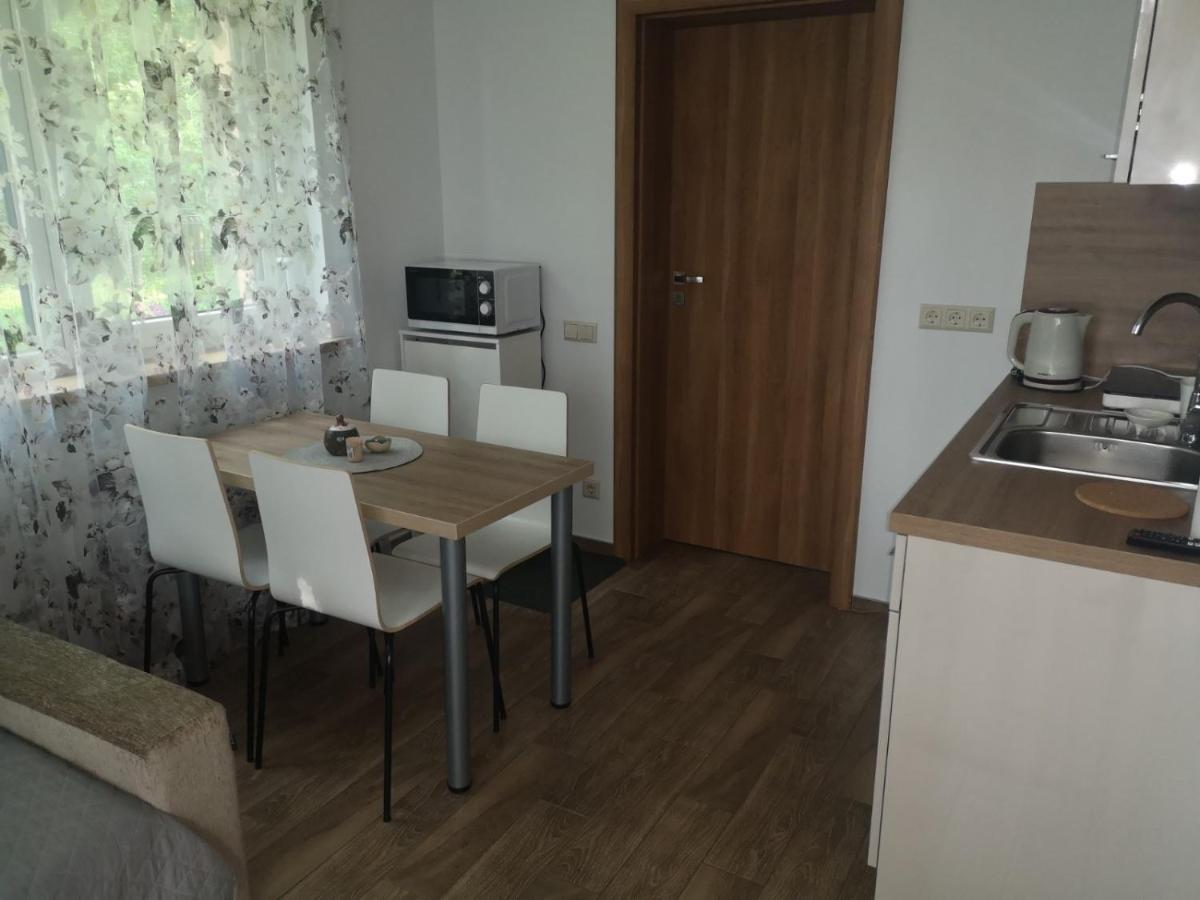 Kristinos Apartment Druskininkai Eksteriør billede