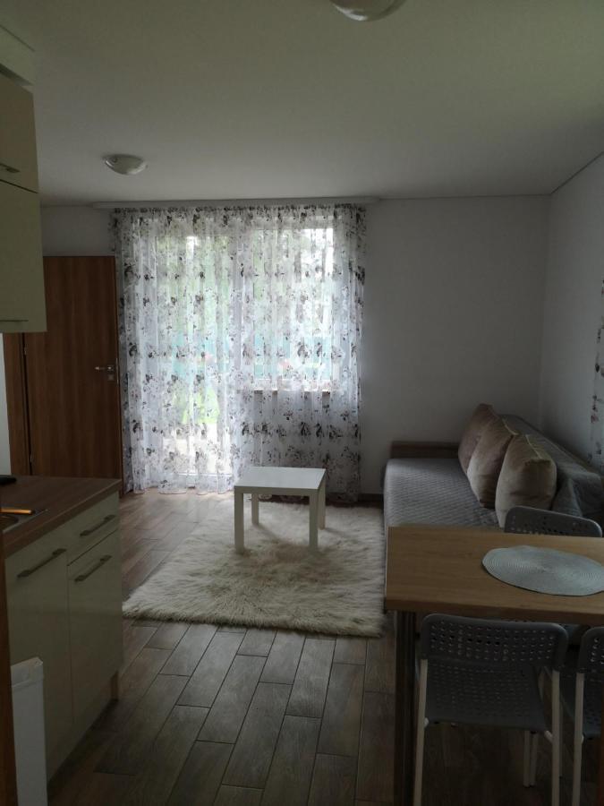 Kristinos Apartment Druskininkai Eksteriør billede