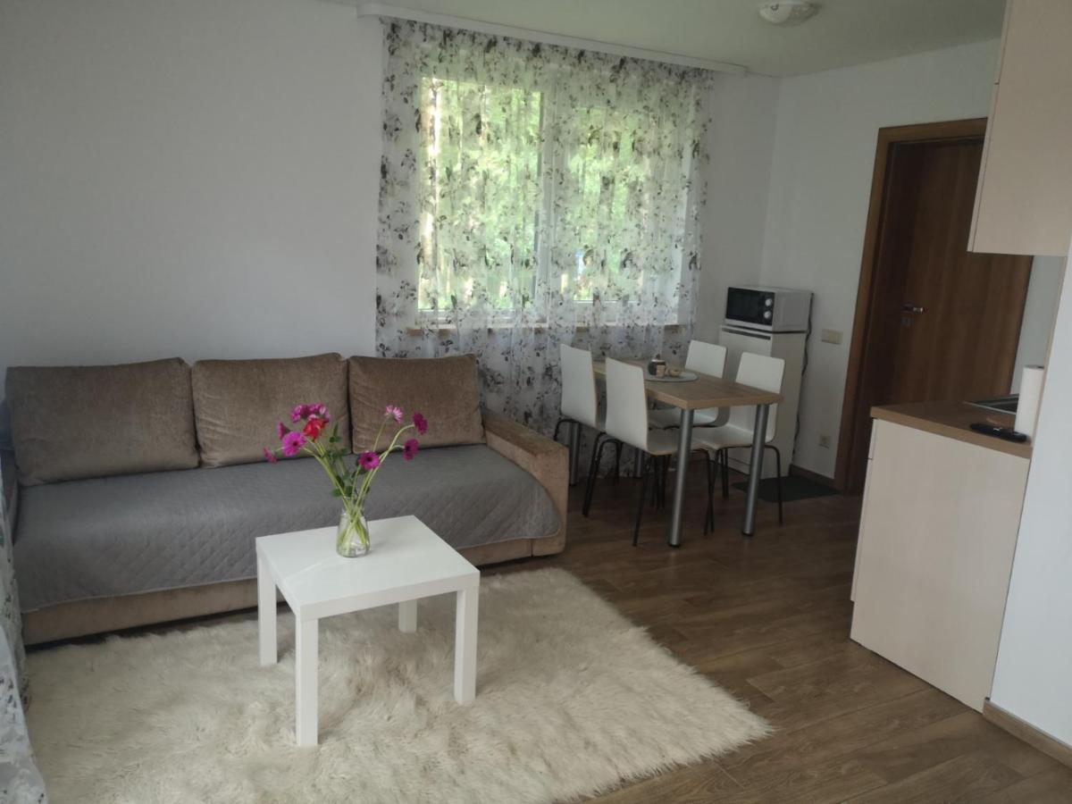 Kristinos Apartment Druskininkai Eksteriør billede