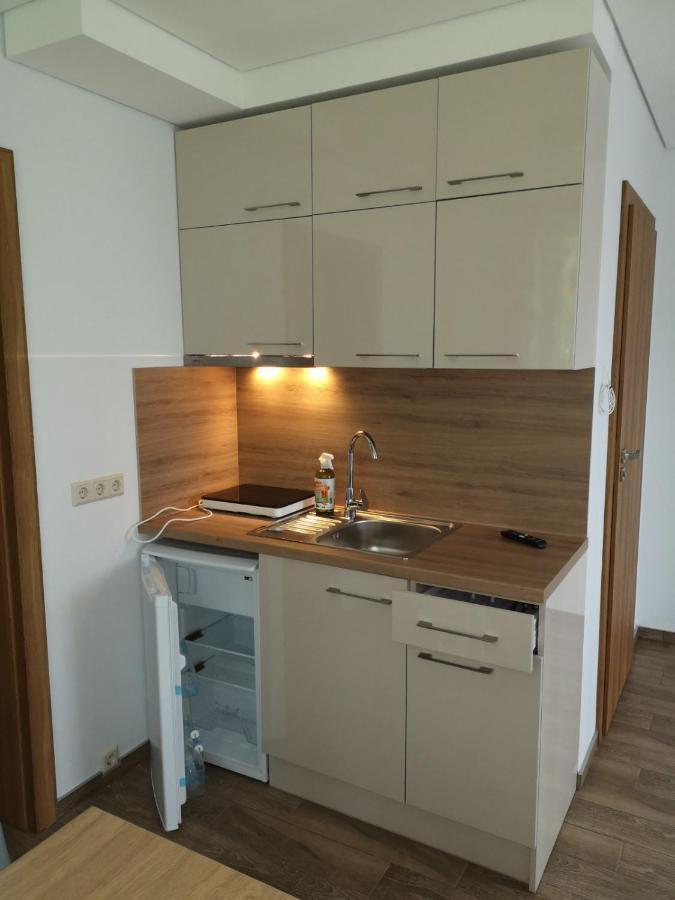 Kristinos Apartment Druskininkai Eksteriør billede