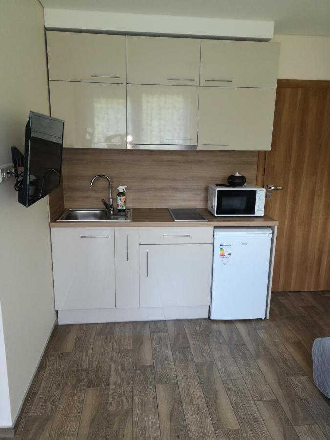 Kristinos Apartment Druskininkai Eksteriør billede