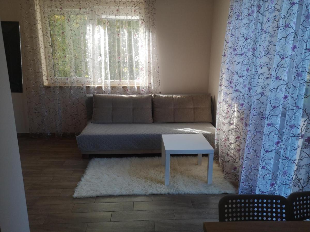 Kristinos Apartment Druskininkai Eksteriør billede